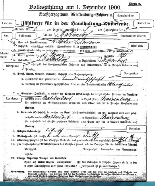 Mecklenburg-Schwerin 1900 census